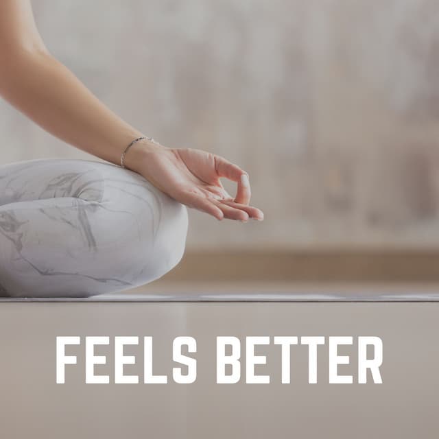 Feels Better - Meditation Guru