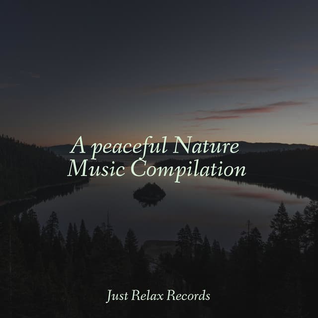 A peaceful Nature Music Compilation - Schlaflieder Für Kinder