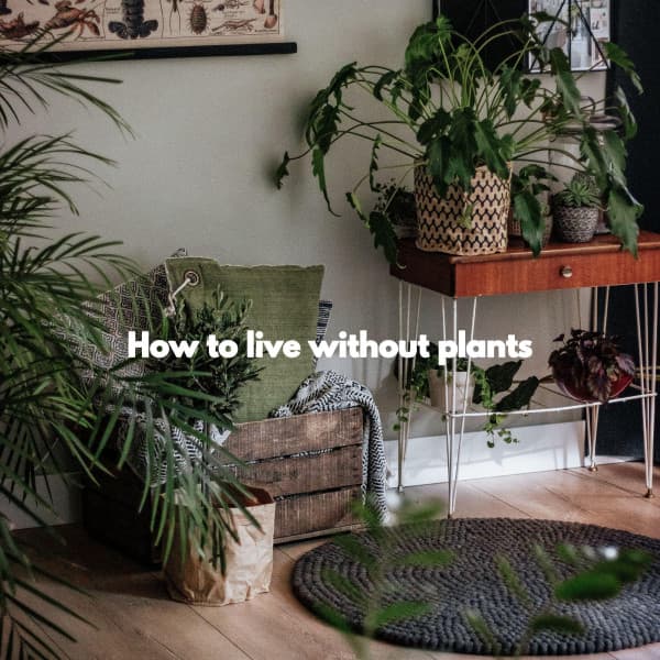 How to live without plants - Musica per Cucinare