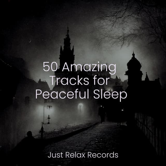 50 Amazing Tracks for Peaceful Sleep - Nature Sound Collection
