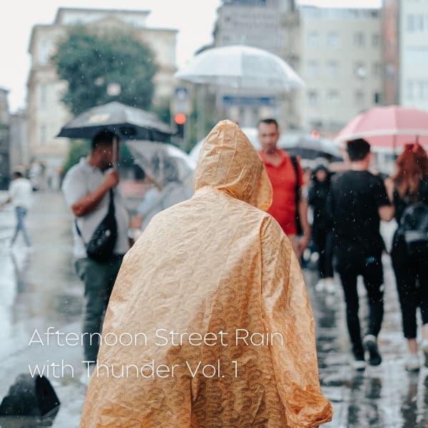 Afternoon Street Rain with Thunder Vol. 1 - Nature Field Recordings