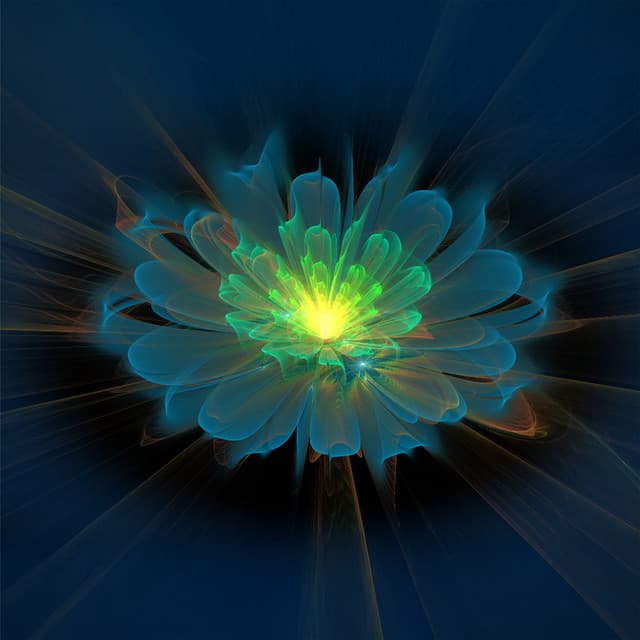 The Art of Inner Bloom - Elizabeth Mor