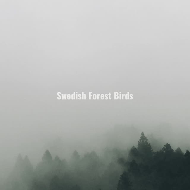 Swedish Forest Birds