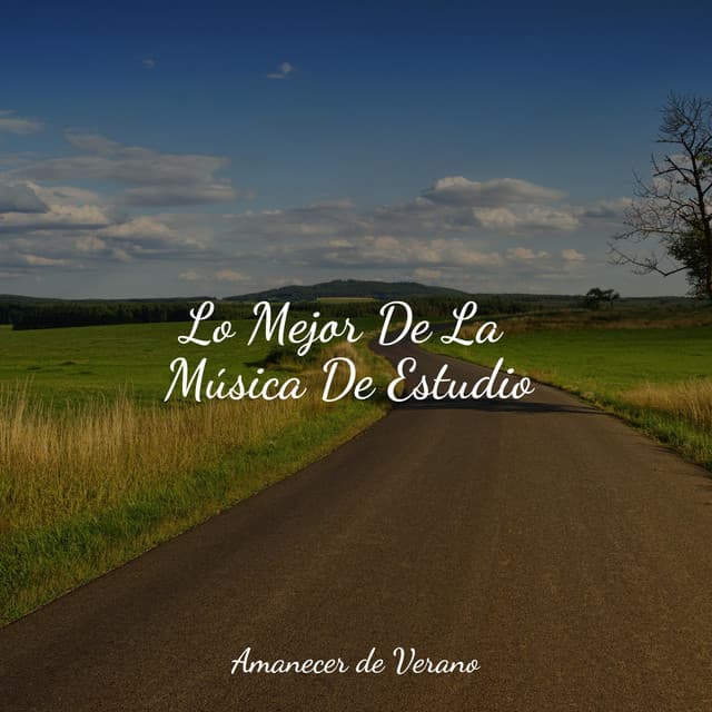 Lo Mejor De La Música De Estudio - Musica Relajante Specialistas & Musica Relajante