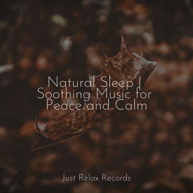Natural Sleep | Soothing Music for Peace and Calm - Massage Therapy Music