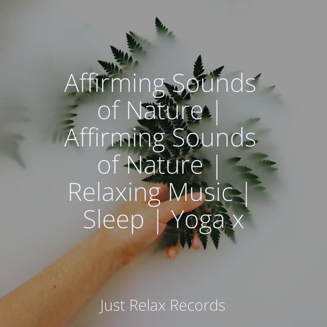 Affirming Sounds of Nature | Affirming Sounds of Nature | Relaxing Music | Sleep | Yoga x - Rising Higher Meditation