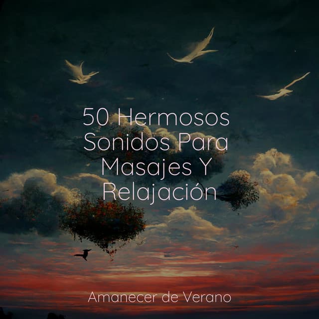 50 Hermosos Sonidos Para Masajes Y Relajación - Masajes Spas