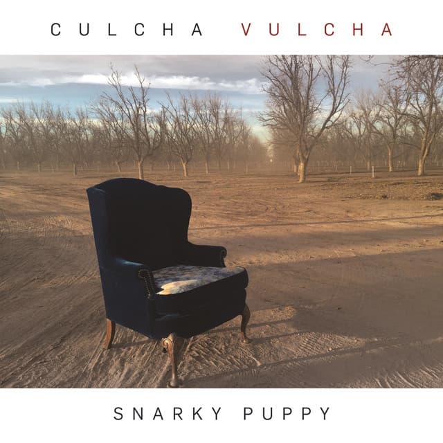 Culcha Vulcha - Snarky Puppy