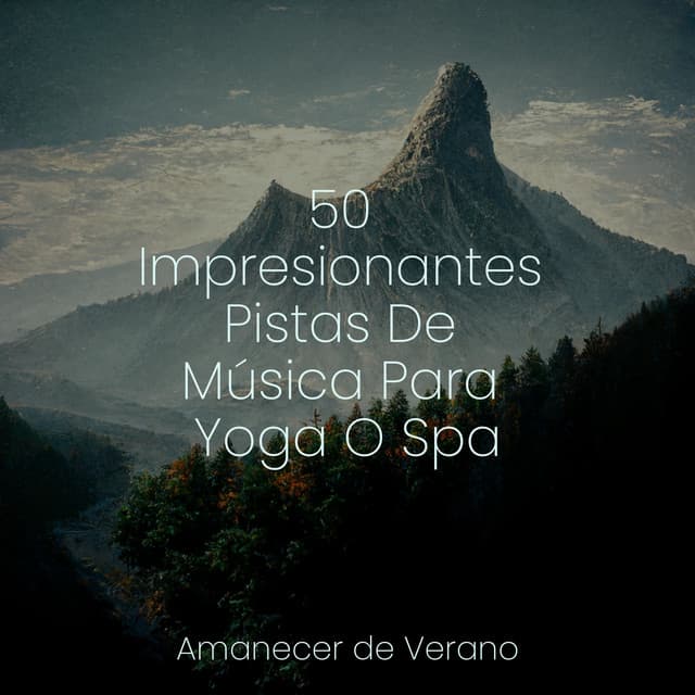 50 Impresionantes Pistas De Música Para Yoga O Spa - Musica para Meditar