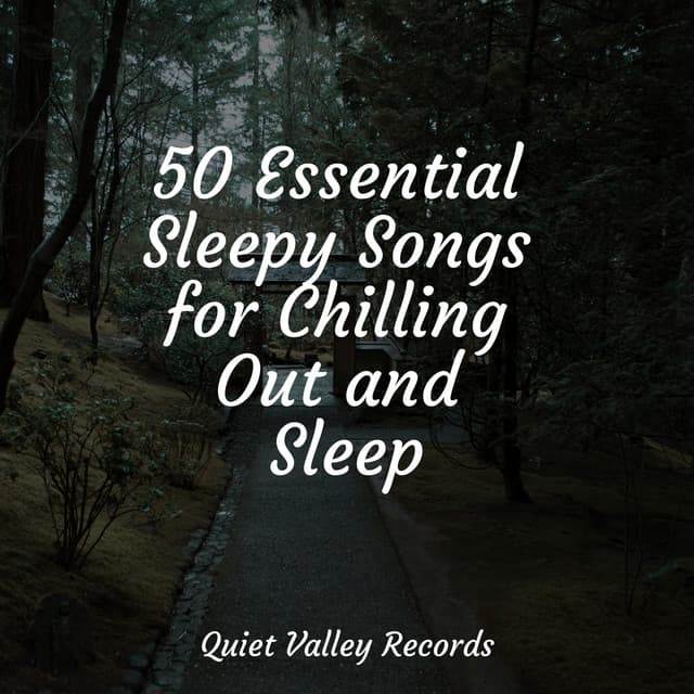 50 Essential Sleepy Songs for Chilling Out and Sleep - Weather Sounds