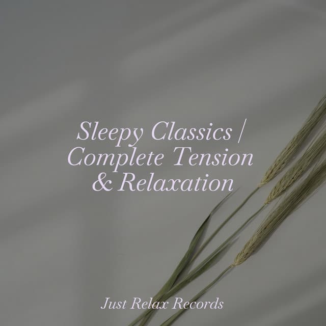 Sleepy Classics | Complete Tension & Relaxation - Ambient