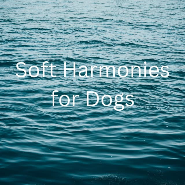 Soft Harmonies for Dogs - Música De Relajación Para Dormir Profundamente