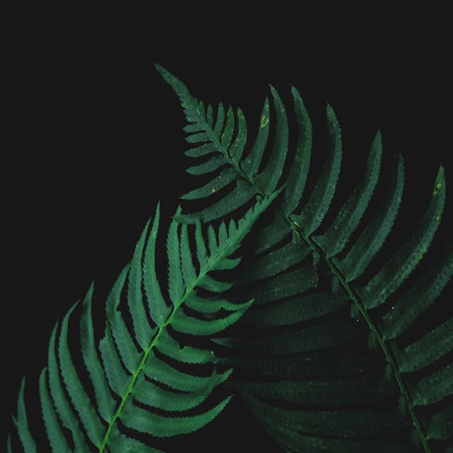 Sleep Music For Deep Sleep time - Baby Sleep Music