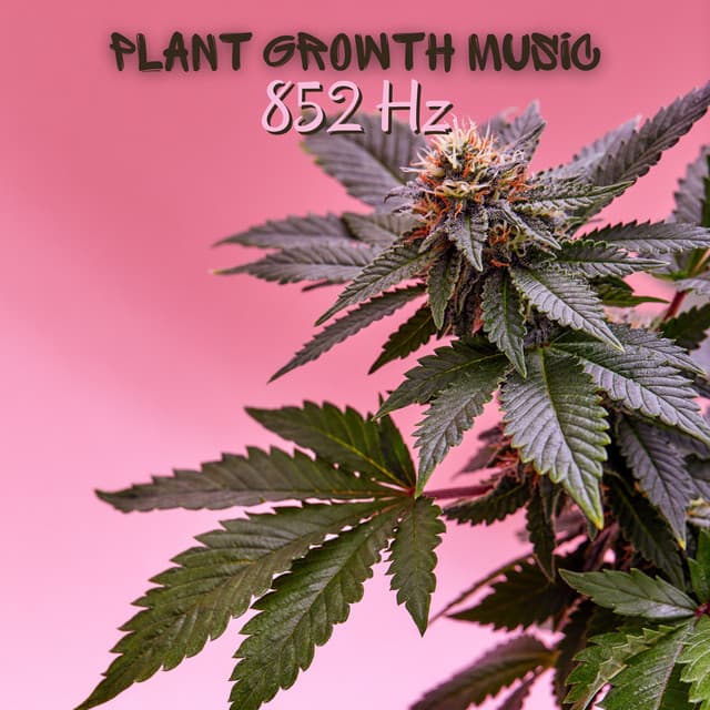 Plant Music Paradise