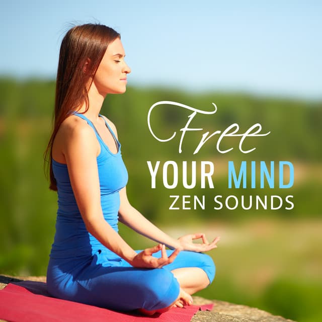 Mindfulness Meditation Universe