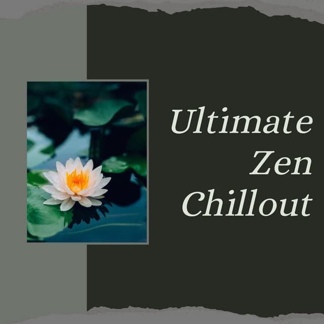 Ultimate Zen Chillout: Deep Relaxation & Ambient Meditation Vibes - World Miracle Pregnancy