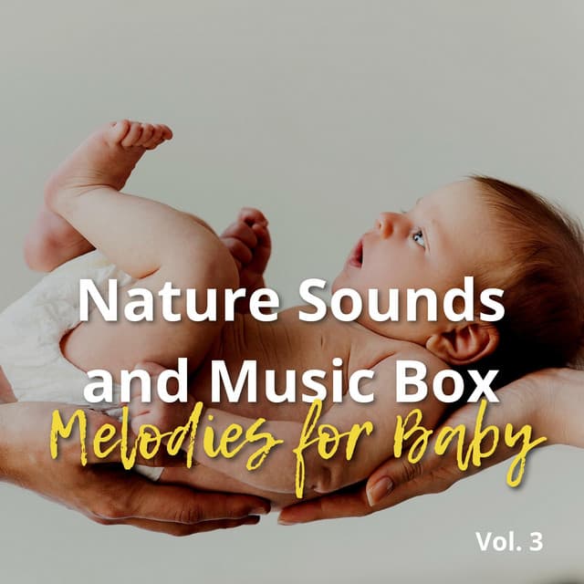 Nature Sounds and Music Box Melodies for Baby Vol. 3 - Sleeping Babies Songs
