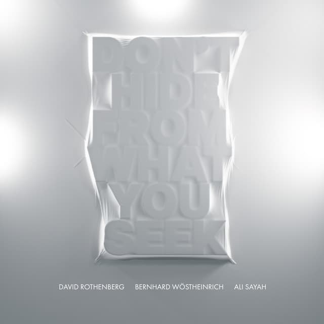 Don't Hide from What You Seek - Bernhard Wöstheinrich